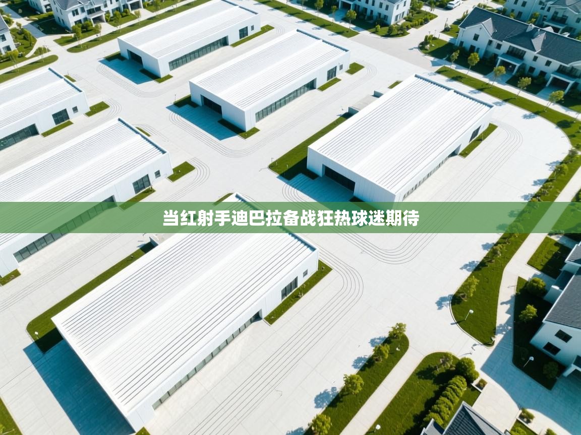 当红射手迪巴拉备战狂热球迷期待 第2张